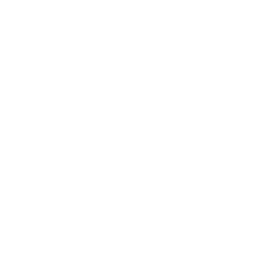 Wheel Fun